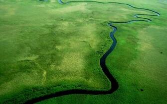 Wallpaper Windows River Jungle Landscapes