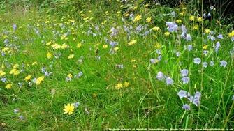 Desktop Wallpaper Scenery Background And Pictures Of Britain