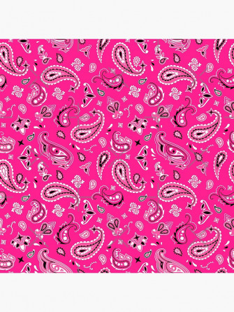 Pink Bandana Photographic Print By Studio More Los