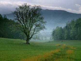 Amazing Nature Wallpaper National Geographic