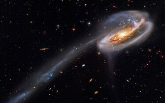 Nasa Desktop Wallpaper HD Art 3d Nature Butterfly Dwonload