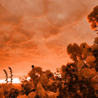 Why Is This So Pretty In Wallpaper