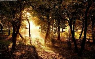 Black And White Wallpaper Earth Scenic Nature Landscape