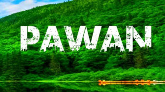 Ing Pawan Urban Jungle Background HD Image Wallpaper