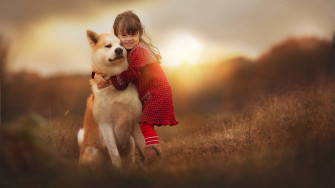 Akita Little Girl Sweet Cute Dog Wallpaper