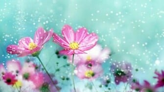 Flower Wallpaper Best
