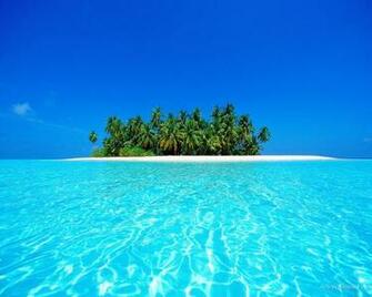 Paradise Wallpaper Art Print Poster Tropical