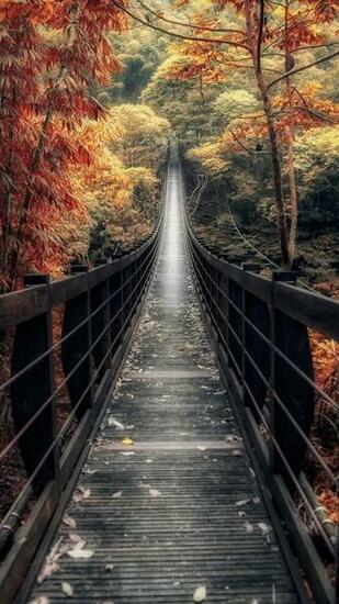 Les 3wallpaper iPhone Du Jour Appsystem