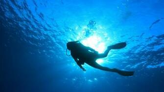 The Padi Certified Scuba Diving Center Teaches And Awards