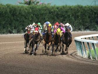 Horse Racing Computer Wallpaper Desktop Background Id