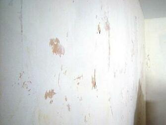 Remove Wallpaper Using Solvents Or Steam Interior Design