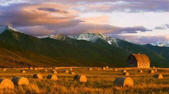 Farm Life Wallpaper Brown Desktop Background