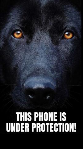 Dog Phone Wallpaper Top Background