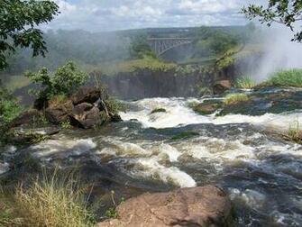 Scenic Wallpaper For Your Desktop African Wildlife Image