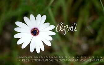 Wallpaper For April Hq