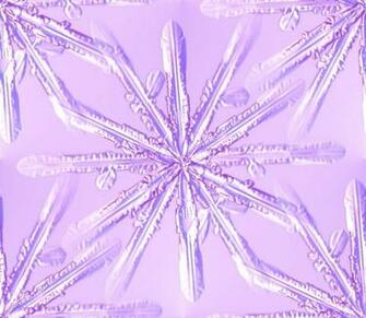 Purple Snowflake Background Background Wallpaper