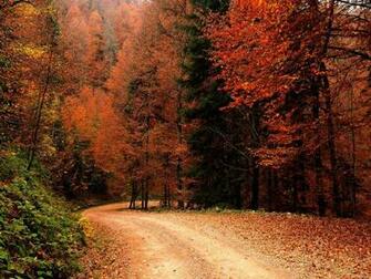 Wallpaper Autumn Fall Nature Popular