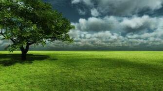 Environmental Creative Photography Landscape Background