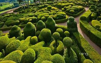 Garden Wallpaper Park Nature Background Image