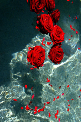Afb31fa5a75854a1a98b4e58ae01d72d Wallpaper