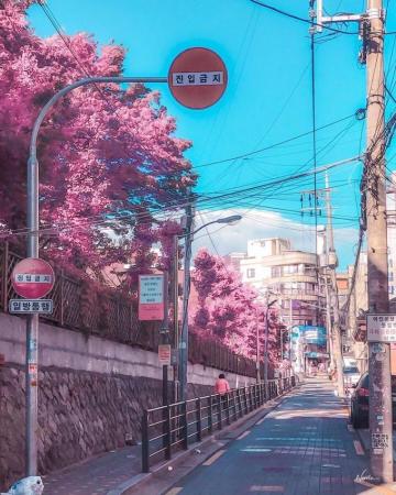 Rocket Languages Korea Wallpaper City Aesthetic