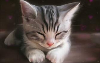 Cute Sleepy Kitten Computer Desktop Wallpaper Pictures Image