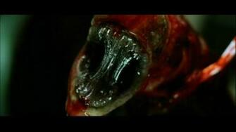 Movie Alien Resurrection Wallpaper