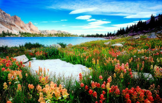 Floral Lakeside Mountain Wallpaper