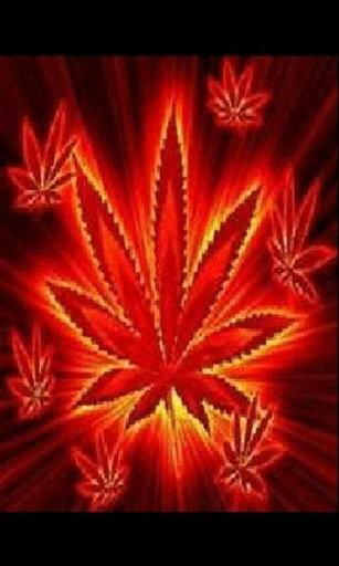 Marijuana Wallpaper