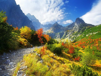 Mountain Path Autumn Wallpaper Attorney General Holder Shocked That
