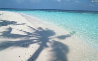 Maldives Beach Wallpaper
