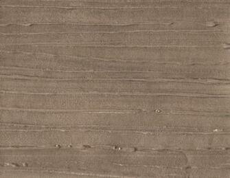Silver Birch Contemporary Wallpaper Omaha By Vahallan Papers