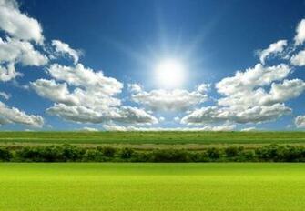 Amazing Spring Wallpaper Designs Pelfind