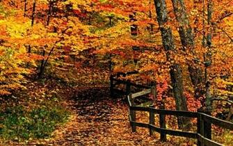 Screenheaven New England Autumn Colors Forests Paths