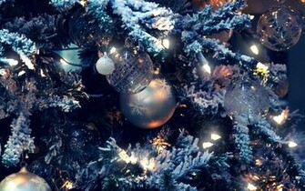 Collection Great Pictures Pure High Definition HD You Can