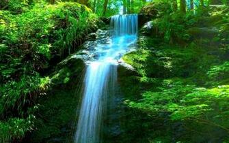 Forest Waterfall Wallpaper