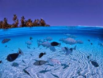 Beautiful Beach Picture Scenery Wallpaper