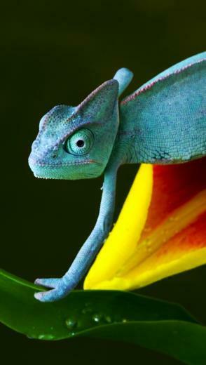 Htc One Wallpaper Best And Easy To