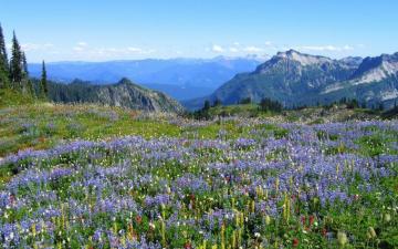 Mountain Scenes