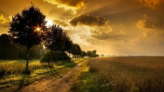 HD Natural Beauty Computers Wallpaper Nature
