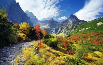 Windows Background Scenic Mountain Path Wallpaper X
