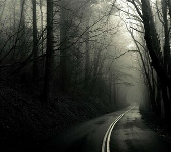 Spooky Forest Wallpaper