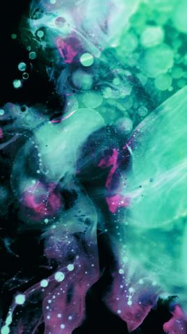 Wallpaper From