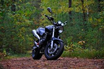 Hornet Bike Wallpaper