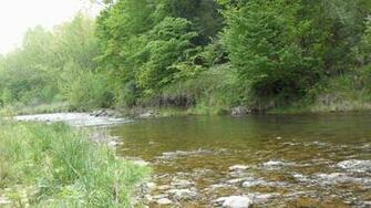 Smallmouth Bass Wallpaper Virginia River