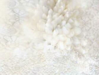 Dreamy Wedding Flowers Pure And Elegant Wallpaper