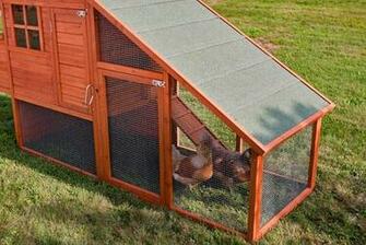 The Saltbox Coop With Run From My Pet Chicken