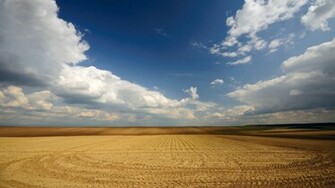 Field Serbia Wallpaper Stock Photos