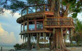 Luxury Treehouse High Quality And Resolution Wallpaper