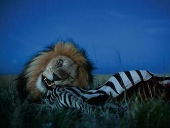 Photography Desktop Wallpaper National Geographic Magazine